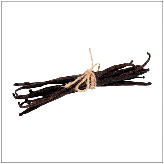 Vanilla Bean