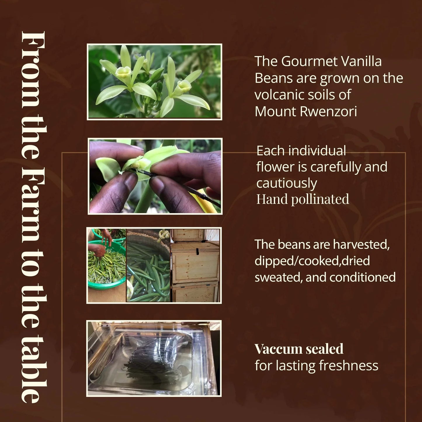 Premium Grade A Vanilla Beans Whole Bulk Pods