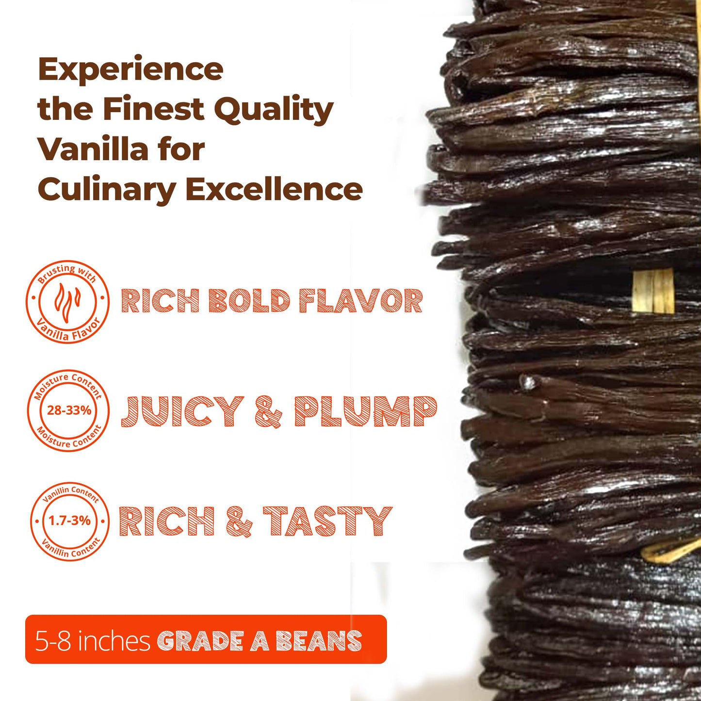 Wholesale Grade A Vanilla Beans  Premium Bulk Pods