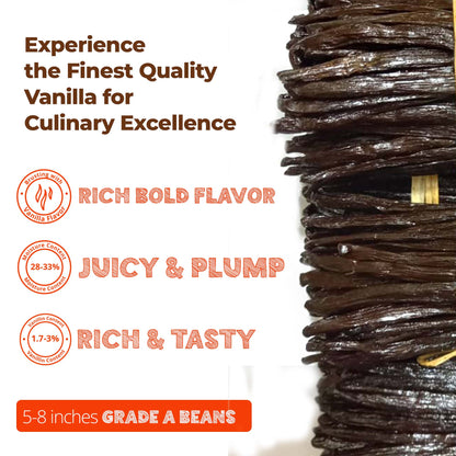 Wholesale Grade A Vanilla Beans  Premium Bulk Pods