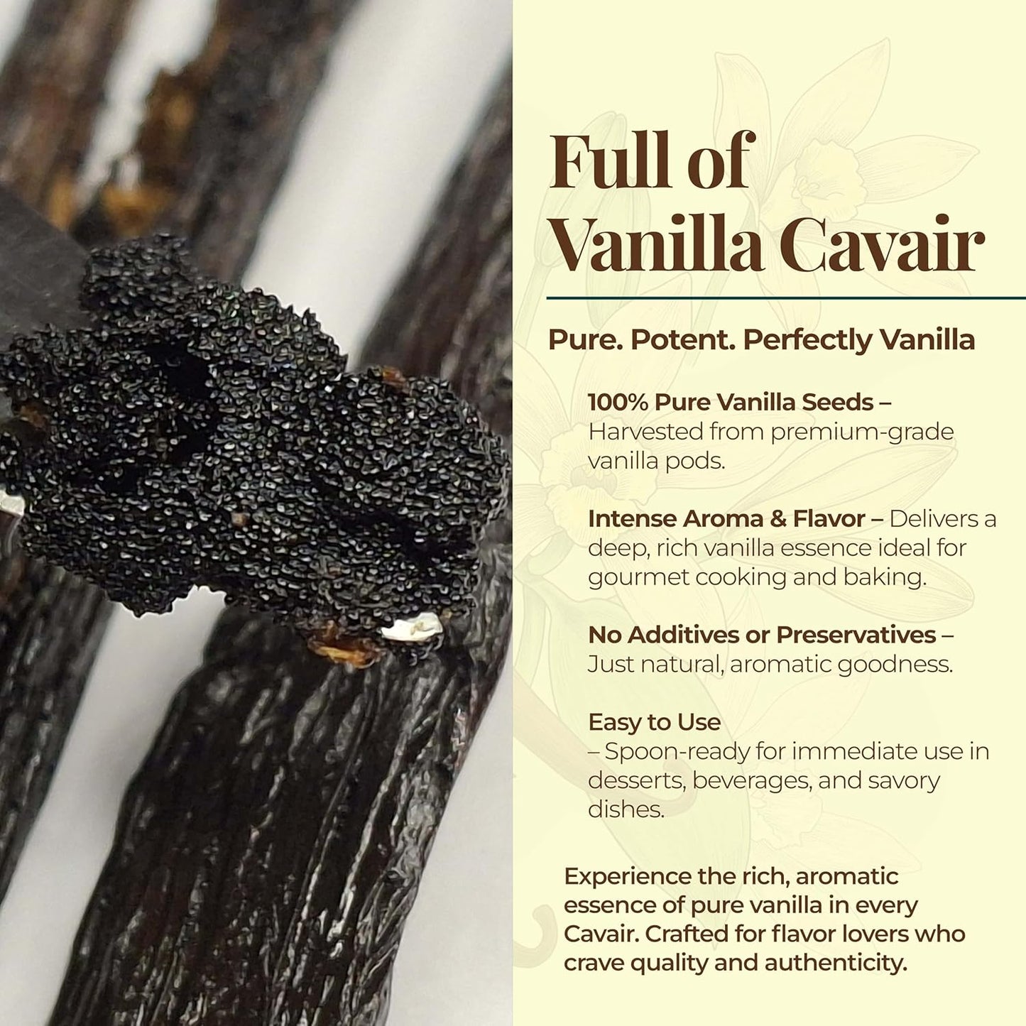 Wholesale Grade A Vanilla Beans  Premium Bulk Pods