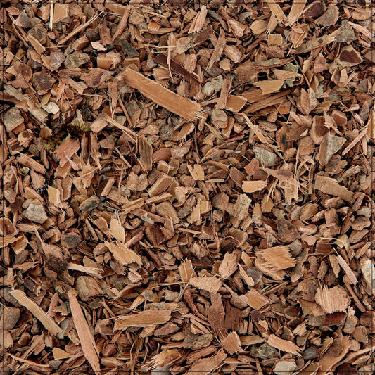 Witch Hazel Bark